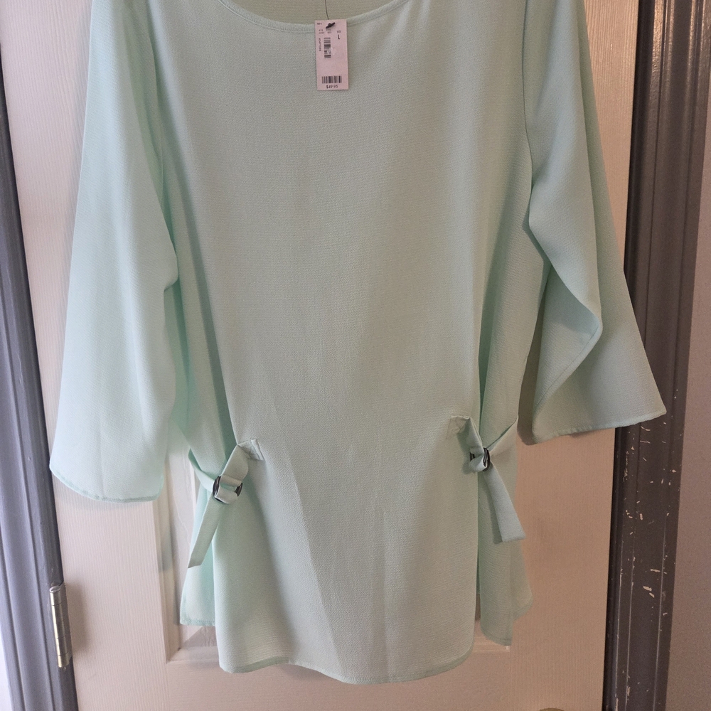 The Limited Light Green Blouse with Bow Accents